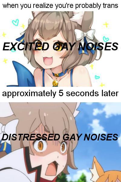 Trans meme I came out to